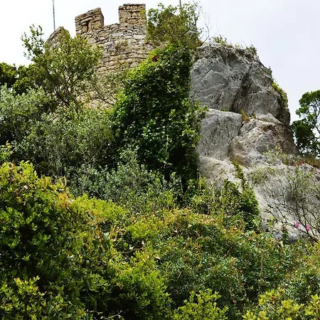 Argonauta Auberge de jeunesse *